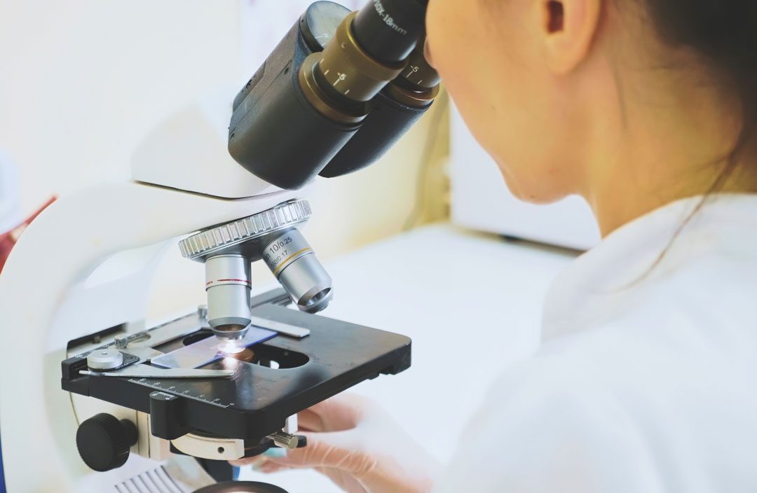 Veterinary Laboratory in Beverly Hills, FL | Countryside Animal Clinic ...