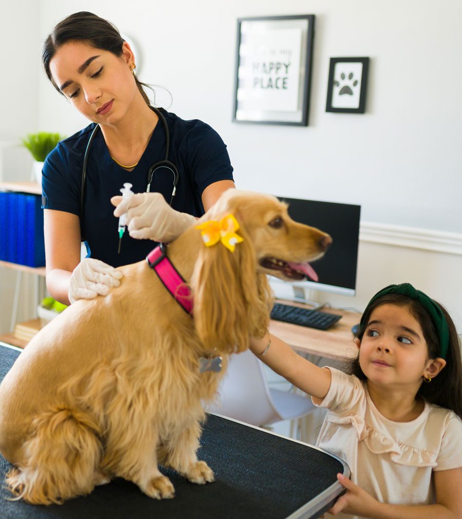 pet-vaccines Cute Pup Getting Vaccine While Girl Consoles Dog
