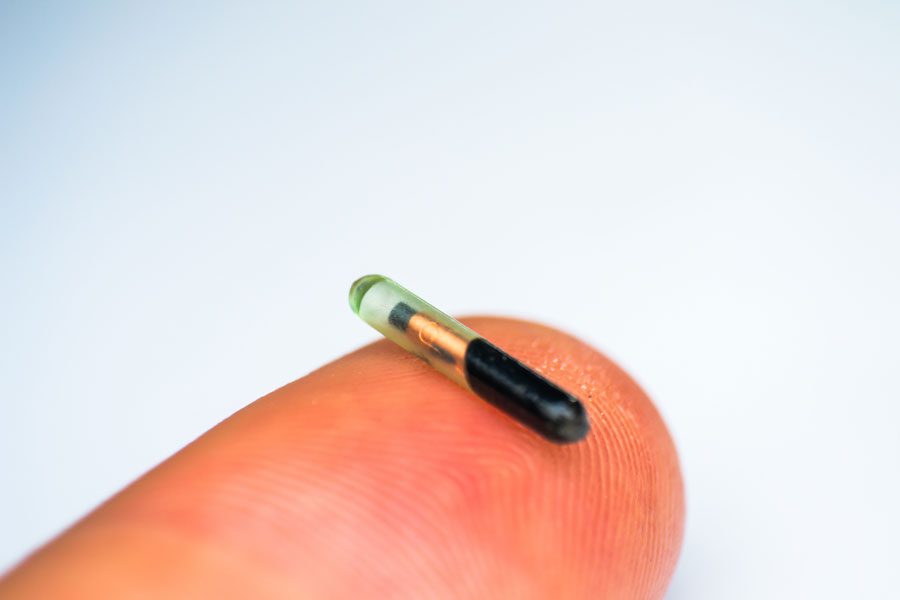 pet-microchipping-beverly-hills-fl Microchip For Pets On Finger Tip