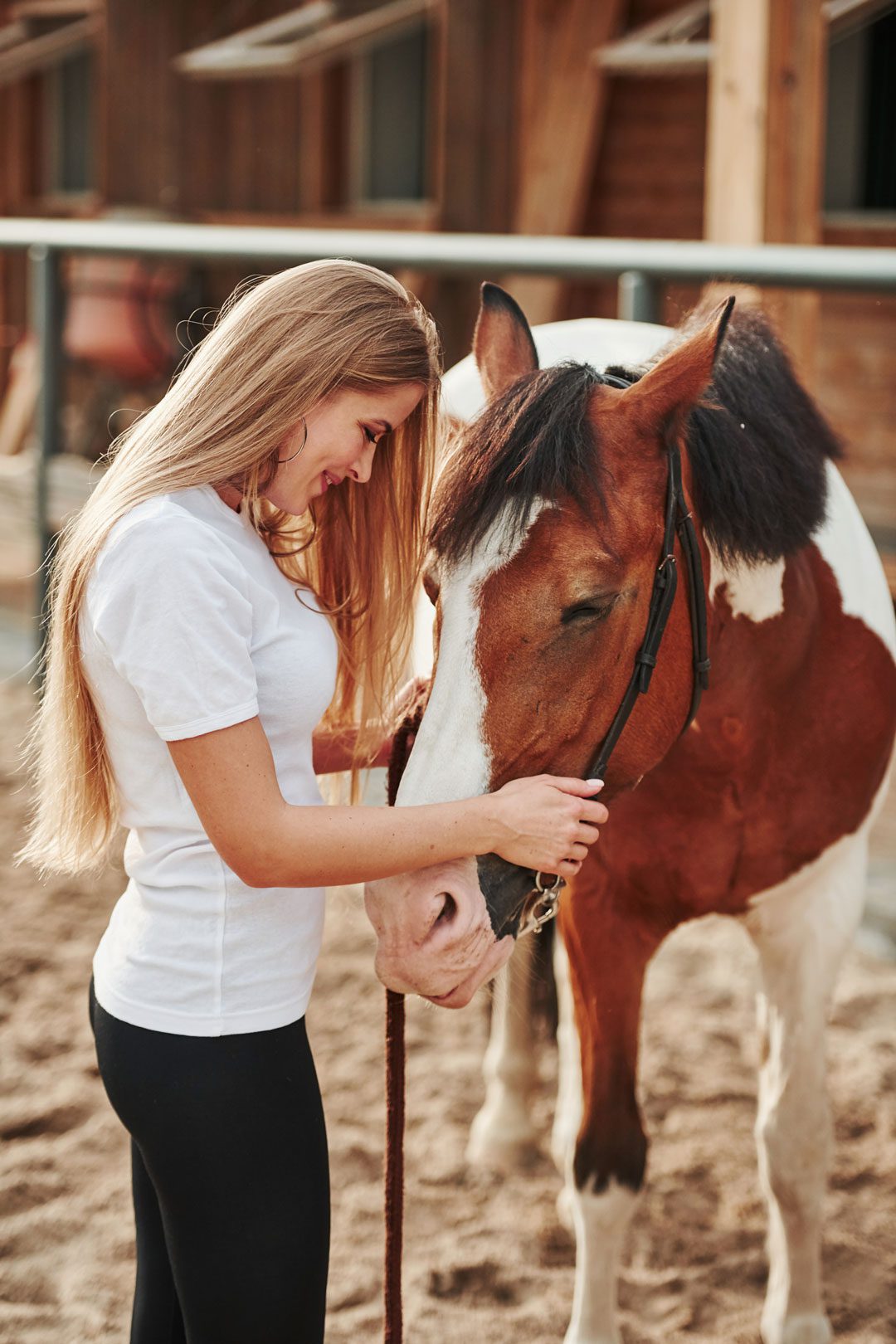 pet-phovia-light-therapy Blonde Woman With Horse