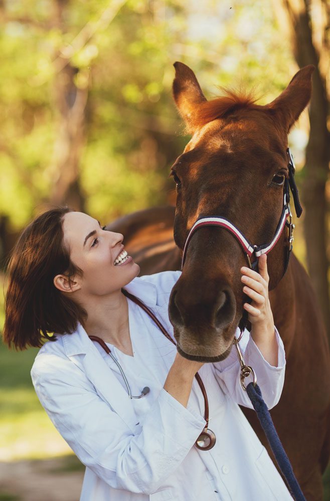 Horse With Smiling Vet