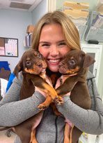 Lady Holding Two Puppies Smiling Lady Holding Two Puppies