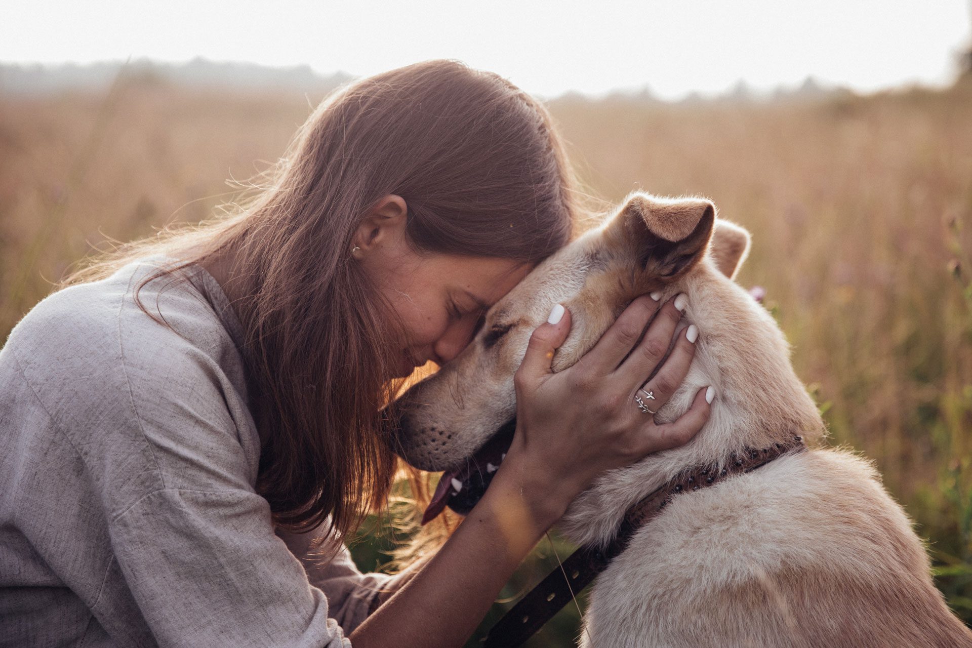 Woman With Her Dog In A Field Woman With Her Dog In A Field