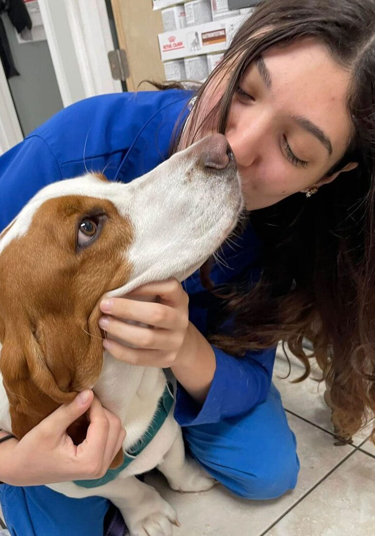 Vet Assistant Kissing Dog Vet Assistant Kissing Dog