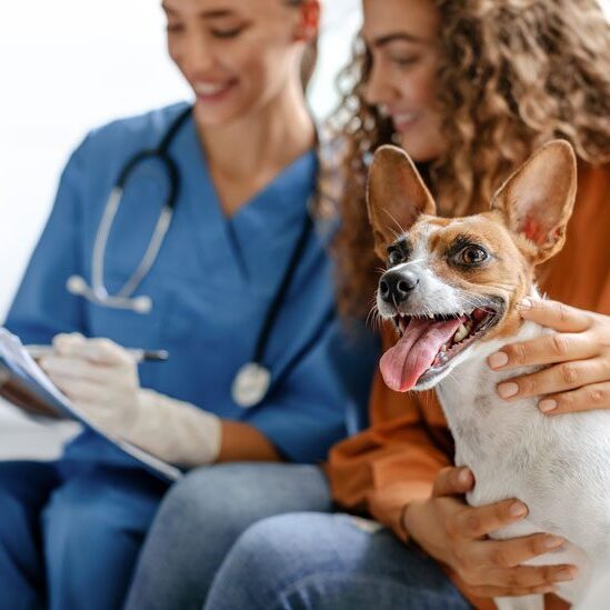 Vet Assistant Talking With Owner And Dog